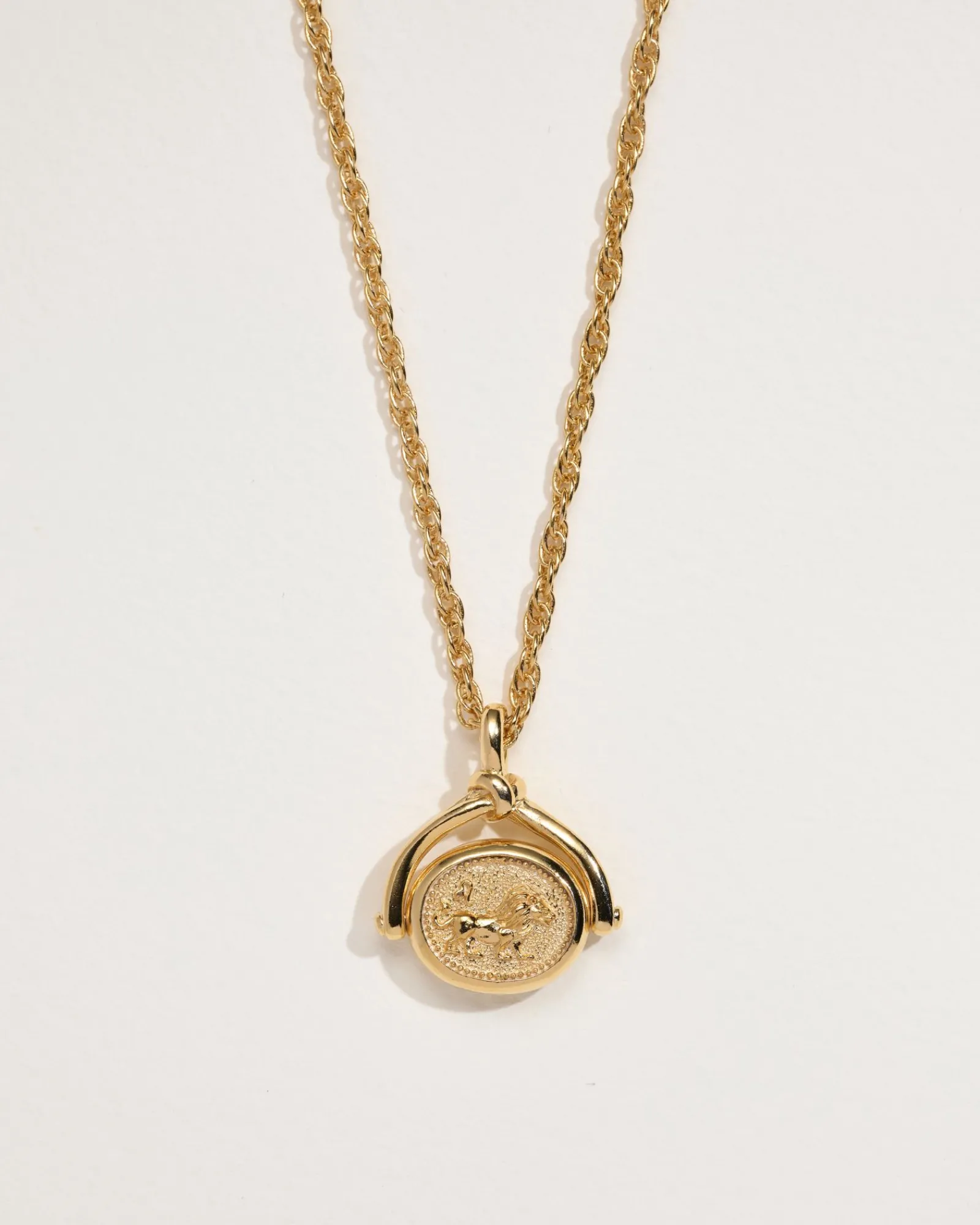 Pamela Love Necklaces|Leo Spinner Pendant