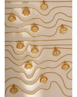 Pamela Love Necklaces|Leo Spinner Pendant